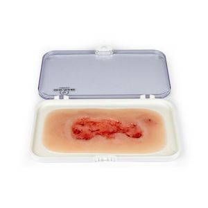 wound management simulator 1