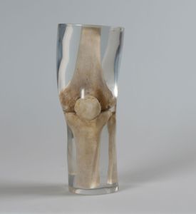 radiography test phantom