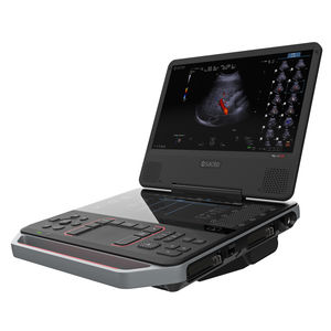 portable ultrasound system