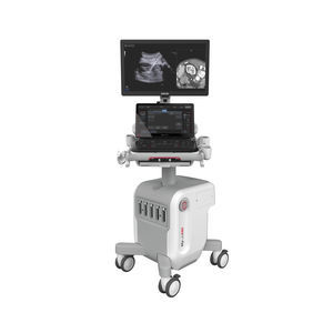 on-platform ultrasound system