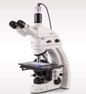 immunofluorescence microscope