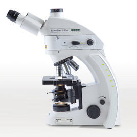 immunofluorescence microscope