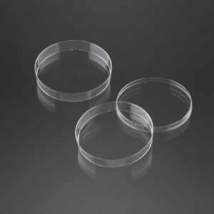 Petri dish