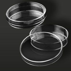 polystyrene Petri dish 1