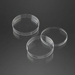 Petri dish