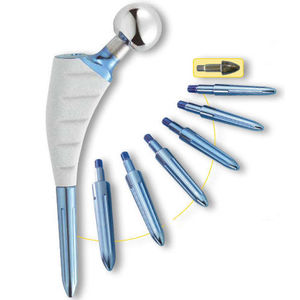 cementless femoral stem