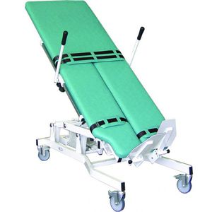 1 section tilt table