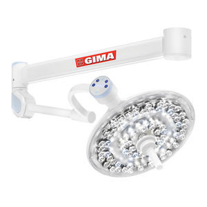 LED examination light