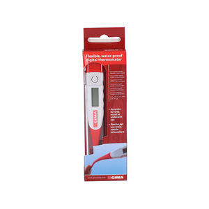 medical thermometer 1
