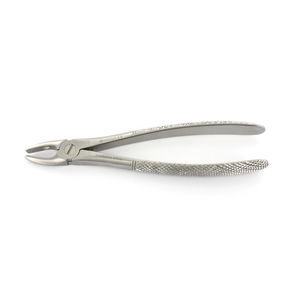 canine teeth dental extraction forceps 1
