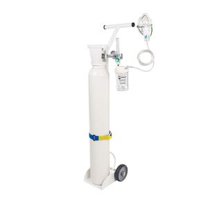 trolley-mounted oxygen therapy system