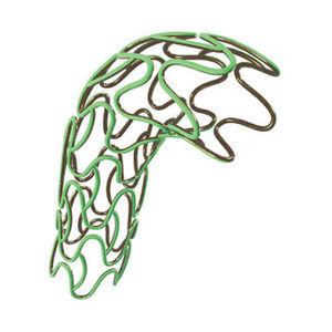 coronary stent