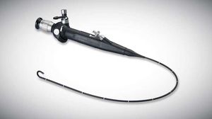 optical veterinary bronchoscope