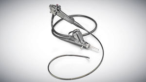 video veterinary bronchoscope