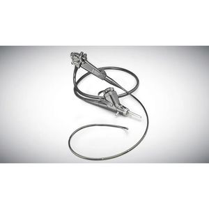 video veterinary bronchoscope