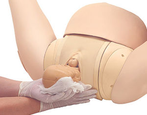 obstetrical/gynecological simulator