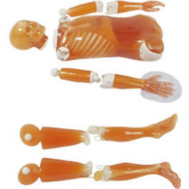radiography test phantom