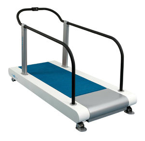 treadmill ergometer with handrails