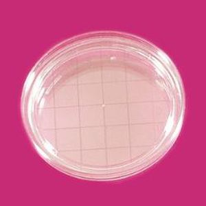 Petri dish with counting grid