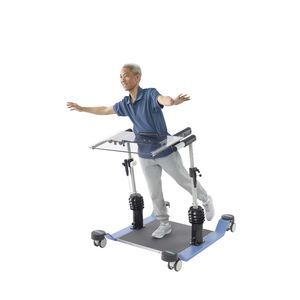 balance rehabilitation system