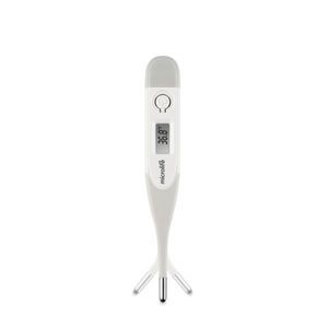 digital thermometer 1