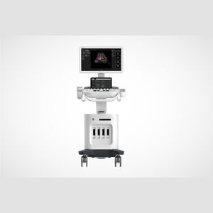 on-platform ultrasound system 1