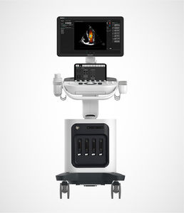 on-platform ultrasound system 1