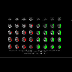 diagnostic software 1