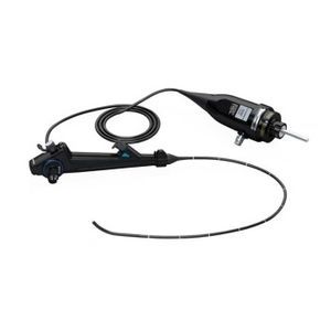 video bronchoscope 1