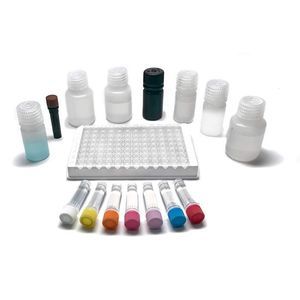 food intolerance test kit 1