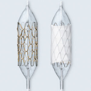 coronary stent