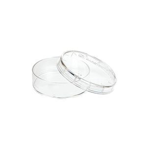 bacteriology Petri dish