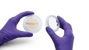 agar gel reagent