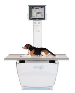 veterinary X-ray system / digital