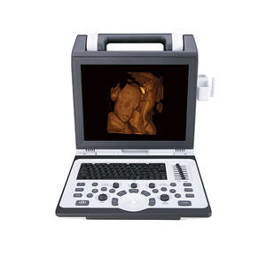 portable ultrasound system