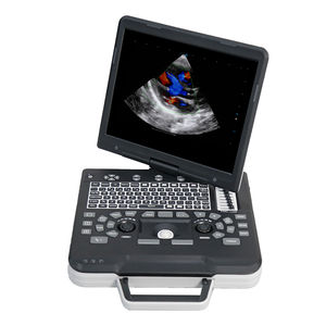 portable ultrasound system