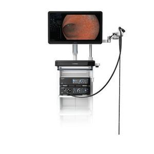 wide-angle video gastroscope