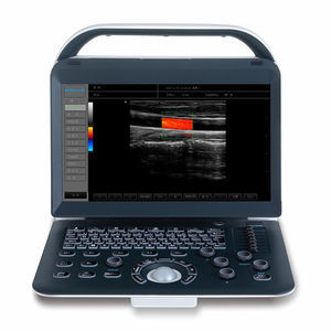 portable ultrasound system