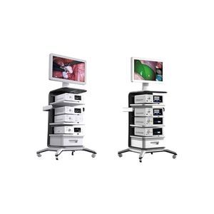 endoscopic ultrasound endoscopic imaging system