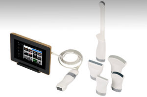 hand-held ultrasound system