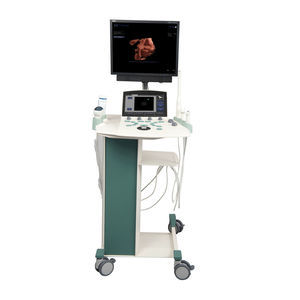 on-platform ultrasound system