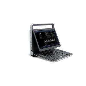 portable ultrasound system