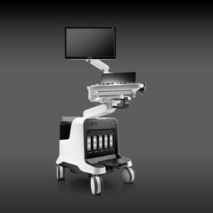 on-platform ultrasound system 1