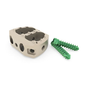 lumbar interbody fusion cage / anterior