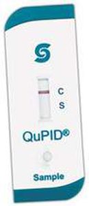 rapid pregnancy test