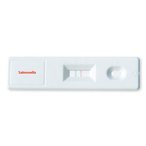 salmonellosis rapid diagnostic test