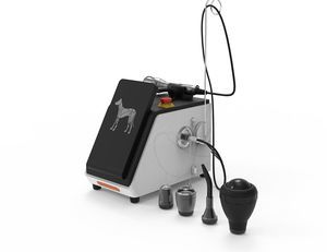 rehabilitation Veterinary photostimulation laser 1