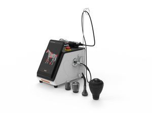 veterinary surgery veterinary laser system 1