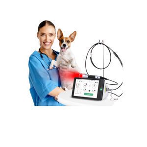 veterinary surgery veterinary laser system 1