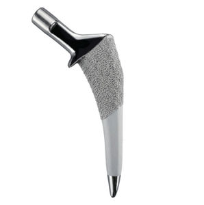 minimally invasive femoral stem 1